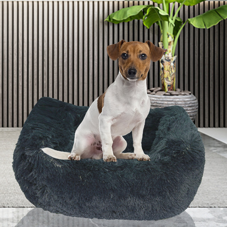 Calming cuddler outlet dog bed